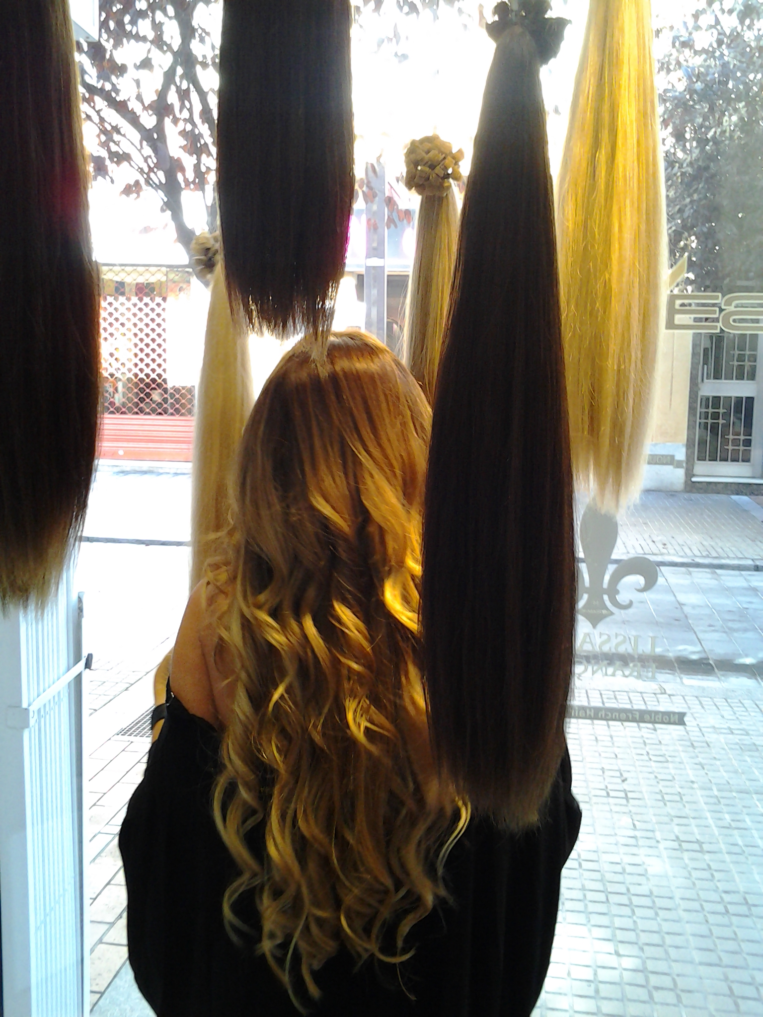 Galería de imágenes